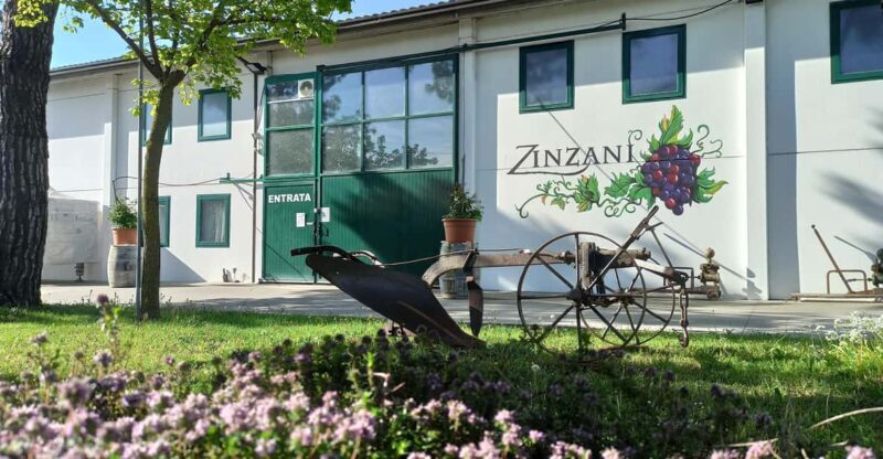 Romagna: Wine Tour with The Winemaker - Final Thoughts: Is This Tour Worth It?