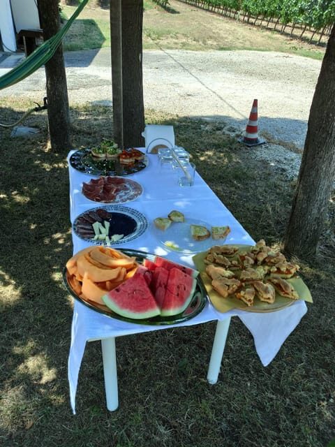 Romagna: Wine Tour with The Winemaker - FAQs