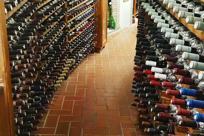 Roman Countryside: Wine and Food Tasting, Private Day Tour - Exploring the Roman Countryside: What to Expect