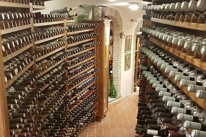 Roman Countryside: Wine and Food Tasting, Semi-Private Day Tour - Vineyard Visit and Wine Tasting at Pagnanelli