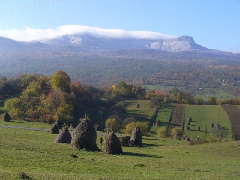 Romania: private 12 days tour with bed and breakfast - A Deep Dive into the 12-Day Romanian Adventure