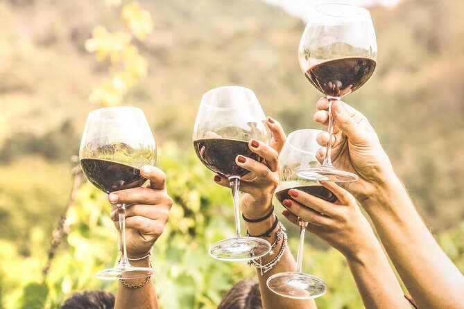 Romanian Wine Tasting - The Sum Up