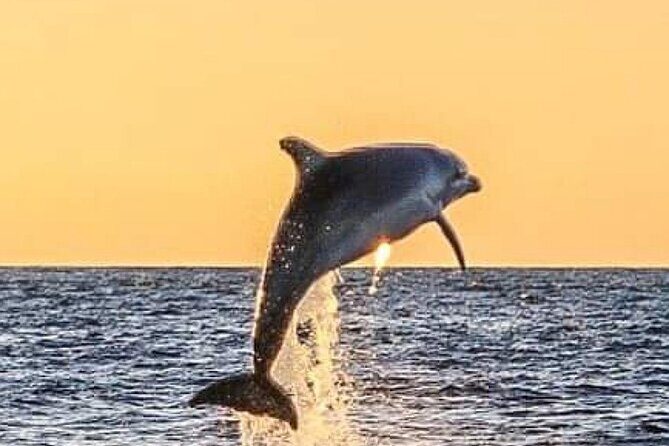 Romantic Boat Trip with Dolphin Watching - Key Points