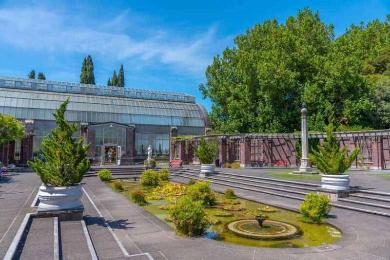 Romantic Charms of Auckland  Private Walking Tour - Key Points