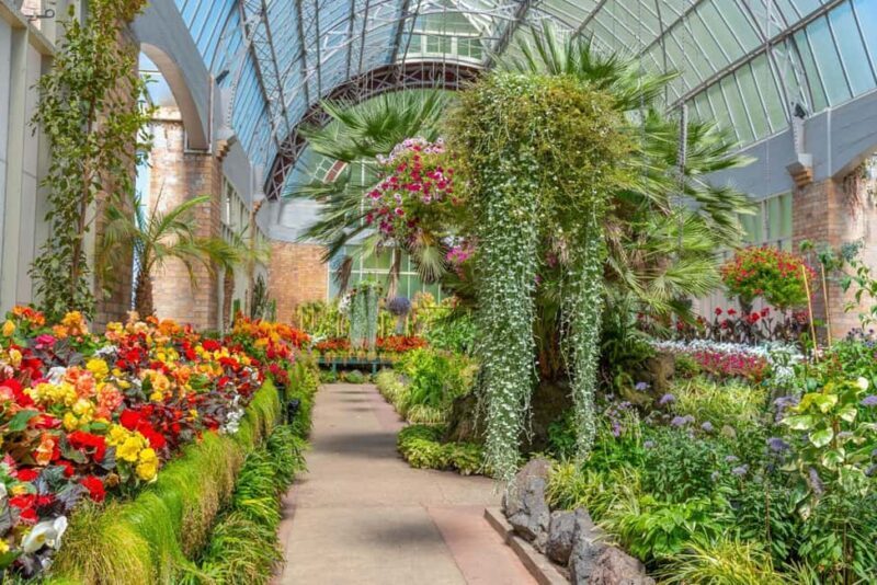 Romantic Charms of Auckland  Private Walking Tour - A Walk Through Auckland’s Scenic and Cultural Highlights