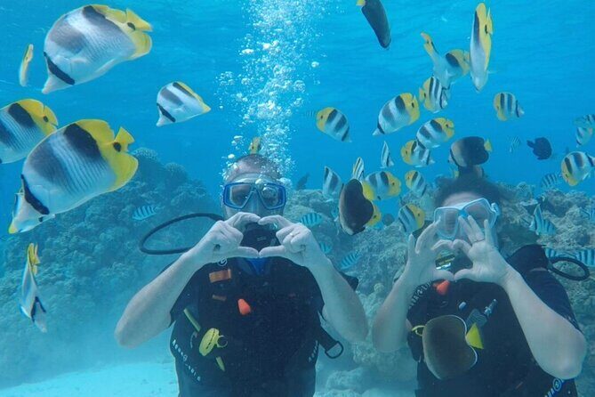 Romantic Dive for beginners in Bora Bora (2 people) with Video - What to Expect from the Romantic Dive
