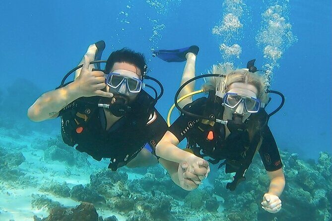 Romantic Dive for beginners in Bora Bora (2 people) with Video - Authentic Experiences from Other Travelers
