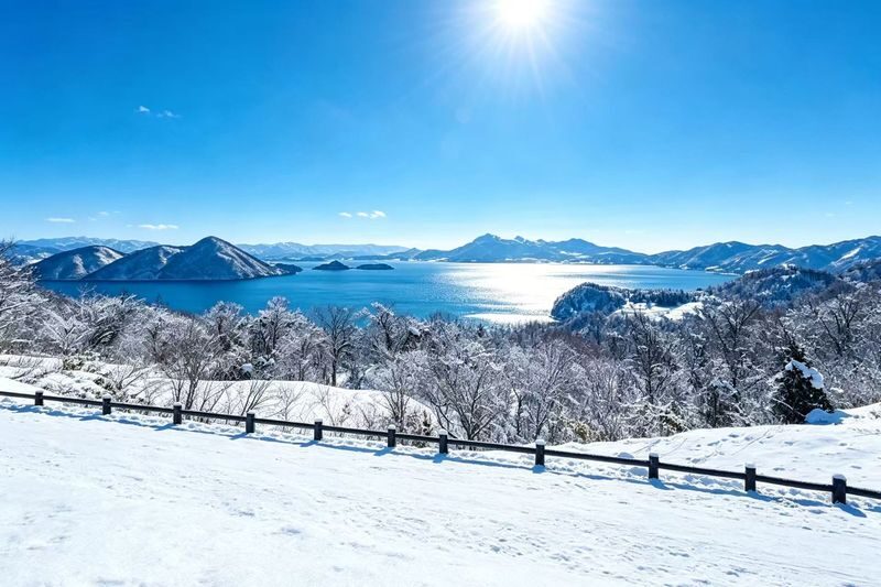 Romantic Hokkaido Noboribetsu Day Trip | Lake Toya Observatory (optional snowmobiling in winter) + Showa-shinzan Bear Ranch + Lake Hill Farm + Noboribetsu Hell Valley (Departing from Sapporo) - Showa-shinzan Bear Ranch: close viewing, extra admission