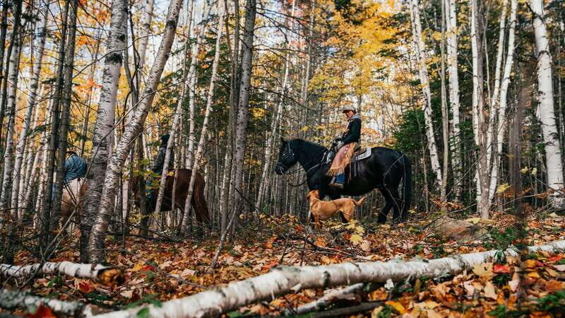 Romantic horseback riding at sunset : La Crépuscule - Final Thoughts