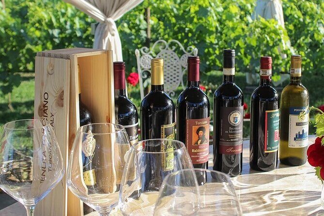 Romantic Lunch in the Vine Rows in Tuscany - The Experience: What You Can Expect