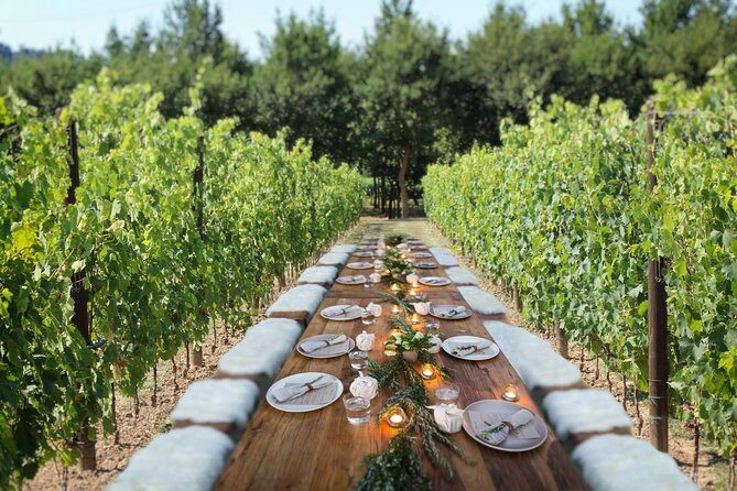 Romantic Lunch in the Vine Rows in Tuscany - A Closer Look at the Itinerary