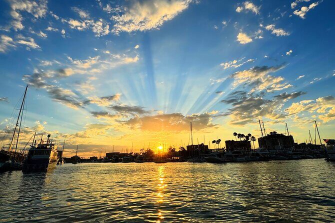 Romantic Luxury Boat Cruise with Wine Cheese Sea LionTours - An In-Depth Look at the Romantic Boat Cruise Experience