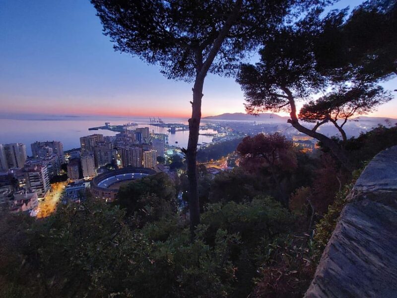 Romantic Night Tour of Málaga by Electric Car - A Closer Look at the Málaga Electric Night Tour
