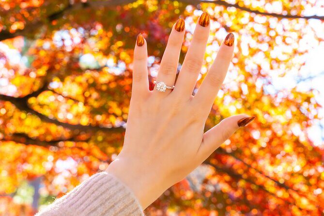 Romantic Proposal Production Photo Video and Drone - The Sum Up