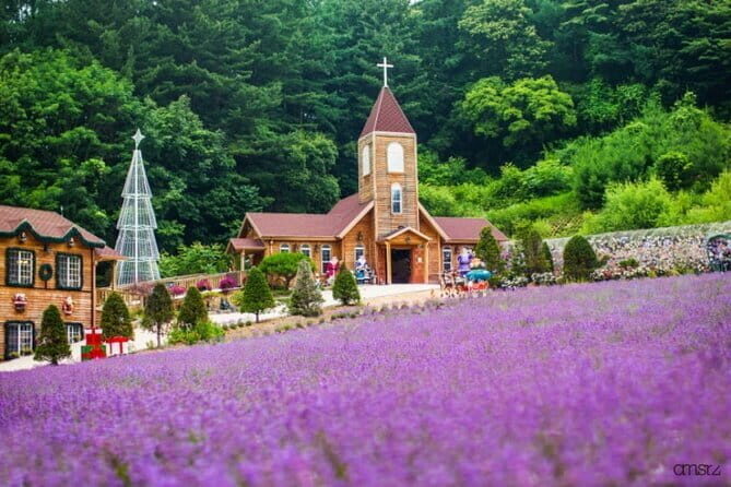 Romantic tour : Cherry blossom days in spring from Seoul - FAQ