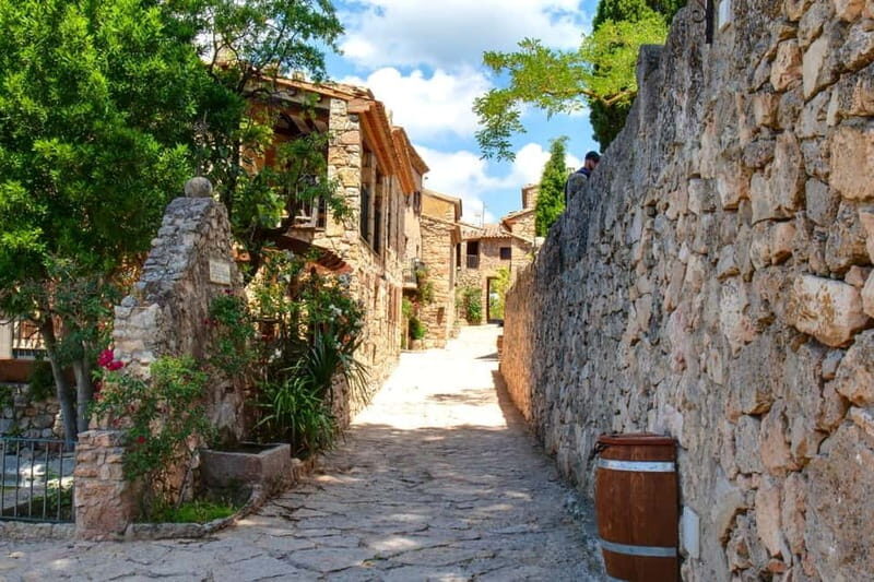 Romantic Tour, Wines and Picnic in Siurana and Priorat from Barcelona - The Marvel of Priorat: Vines, Volcanic Soil, and World-Class Wines