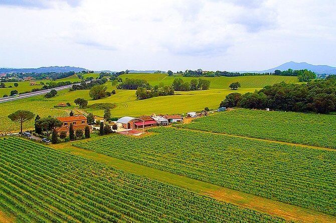 Romantic Vespa Tour and Wine Tasting - A Deep Dive into the Vespa and Wine Experience