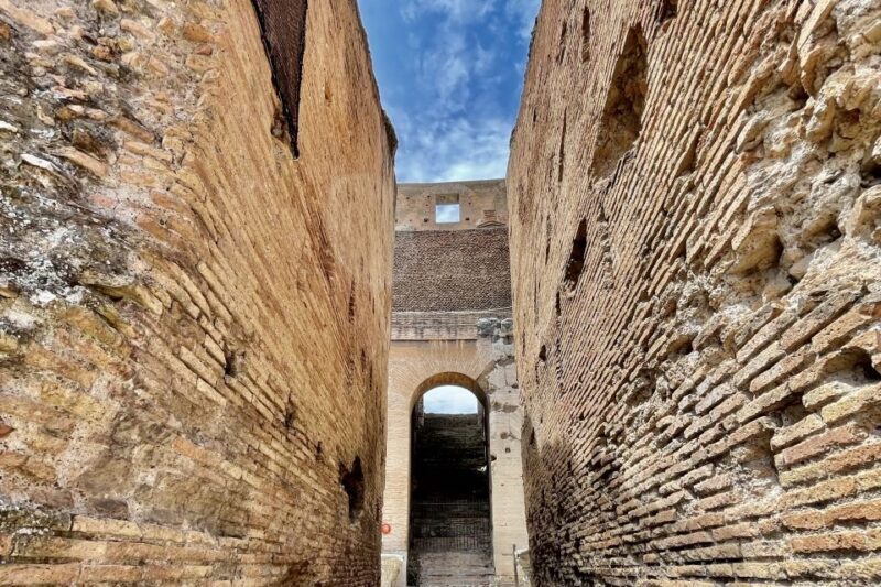 Rome: Colosseum Guided Tour with Fast-Track Entrance - Key Points