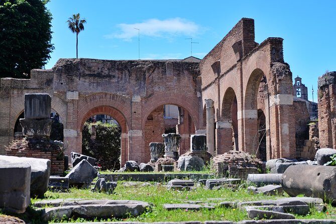 Rome: Colosseum, Palatine Hill and Roman Forum Tour - Final Thoughts