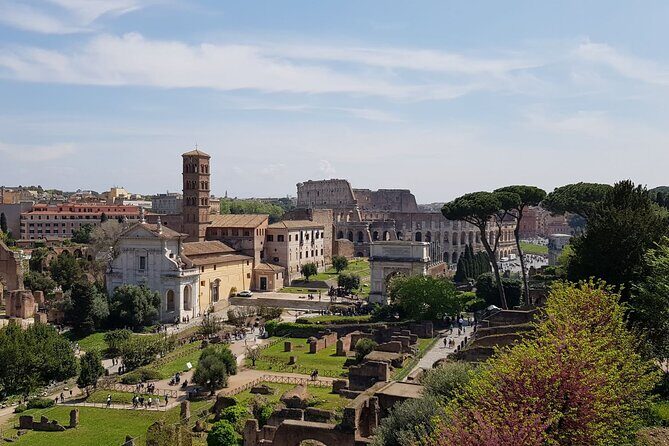 Rome Colosseum,Palatine Hill and Roman Forum Guided Tour - The Sum Up