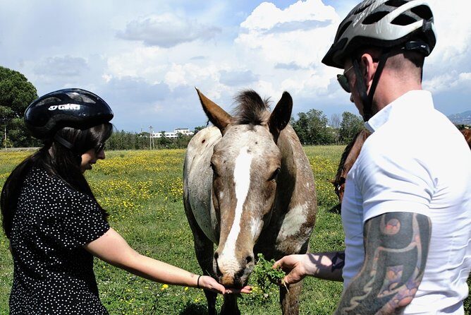 Rome EBike Tour: Appian Way, Catacombs & Roman Aqueducts - The Sum Up