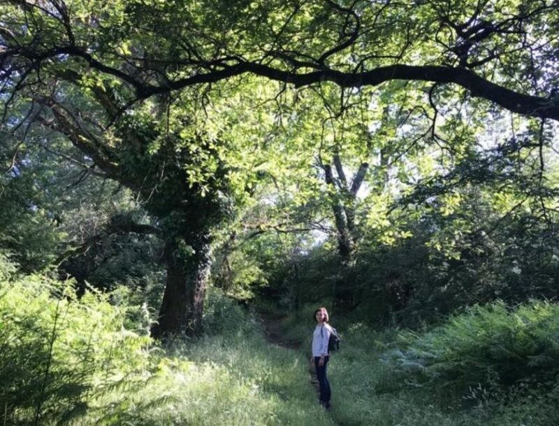 Rome: Forest Bathing Experience - Why Choose This Tour?