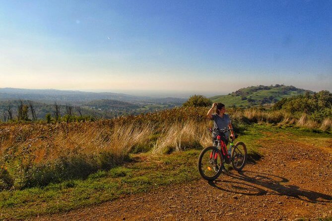Rome: Frascati Vineyard Bike Tour with Train Tickets - A Deeper Dive: What to Expect from the Frascati Vineyard Bike Tour