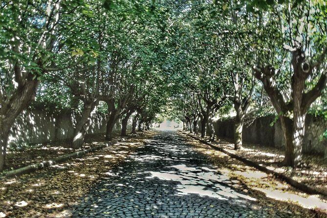 Rome: Frascati Vineyard Bike Tour with Train Tickets - Why This Tour Works