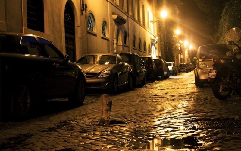 Rome: Ghosts Inquisition in Dark Backstreets Walking Tour - Who Should Take This Tour?