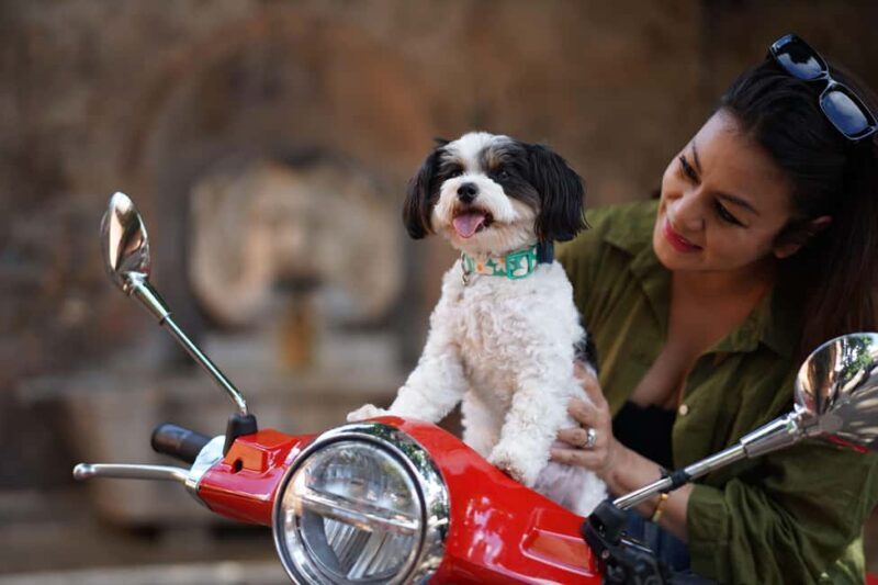 Rome: Guided Vespa Experience with Professional Photoshoot - The Sum Up