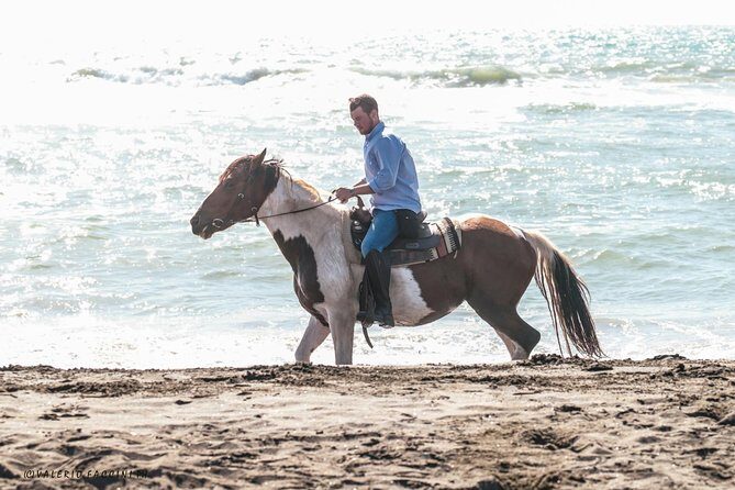 Rome: Horseback Riding on the Beach with aperitif - An In-Depth Look at the Horseback Riding Experience Near Rome