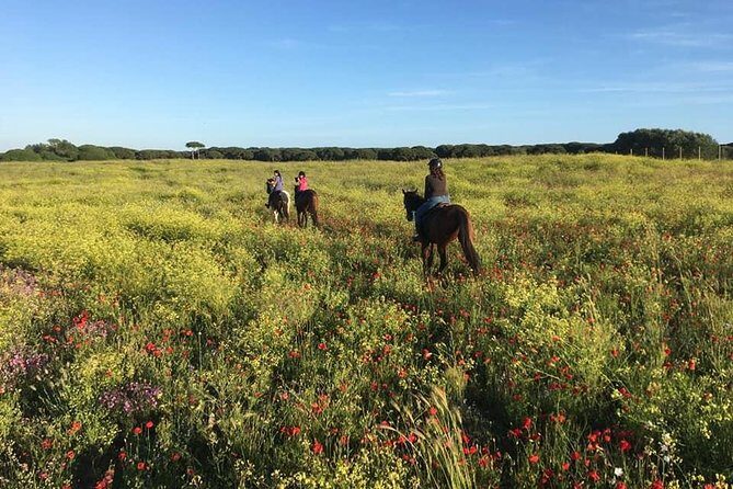 Rome: Horseback Riding on the Beach with aperitif - The Sum Up: A Scenic Ride for the Adventurous and Curious