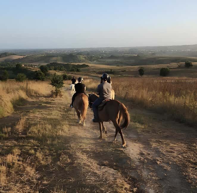 Rome: Lake Martignano Horseback Ride with Guide - Why This Experience Is Worth Considering