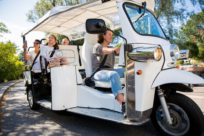 Rome: Private E-Tour in Electric Tuk Tuk - Who Should Consider This Tour?