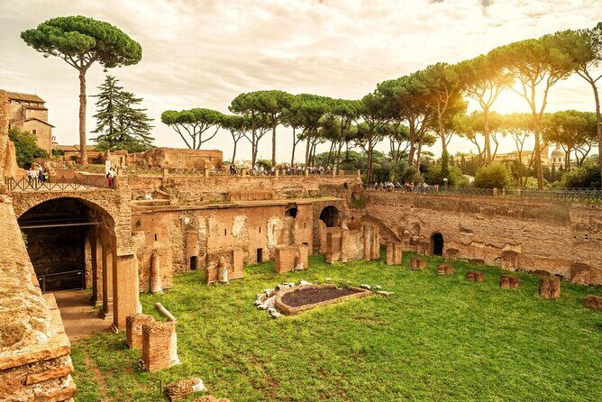 Rome: Small-Group Colosseum Arena and Forum Tour Adults Only - Quick Take: What to Expect from the Small-Group Colosseum and Forum Tour