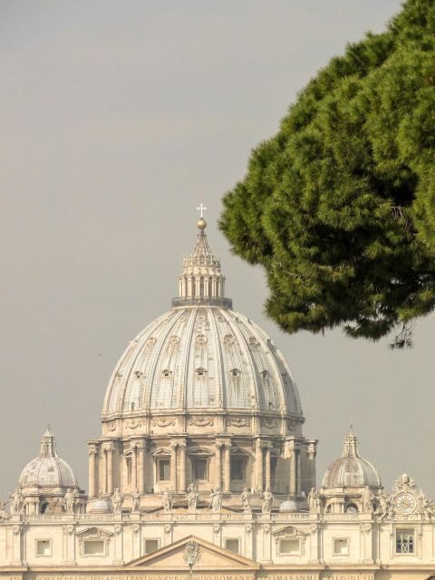 Rome: St. Peter's Basilica, papal tombs tour also with Dome - Practical Details & Tips