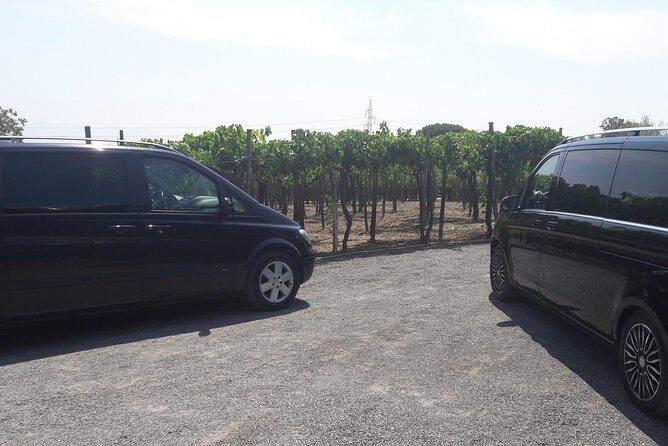 Rome to Sorrento Private Mercedes Transfer with Pickup - Final Thoughts