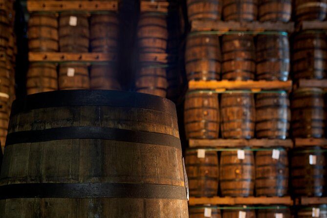 Ron Barcelo Anejo Experience Factory Tour - Why This Tour Matters for Travelers