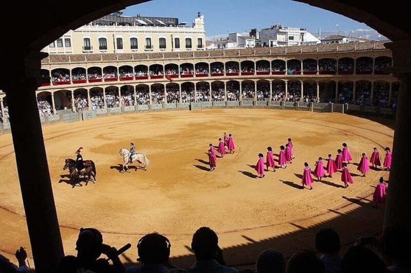 Ronda and Marbella Private Tour From Malaga and Surronds - An In-Depth Look at the Tour Experience