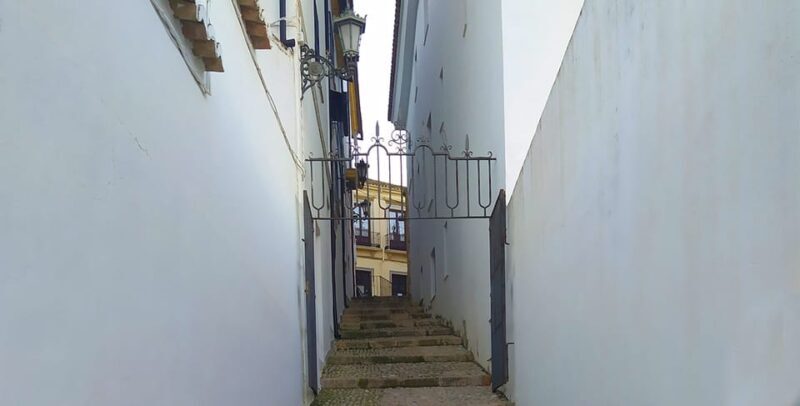 Ronda and Setenil Tour with Free Time from Málaga - Final Thoughts