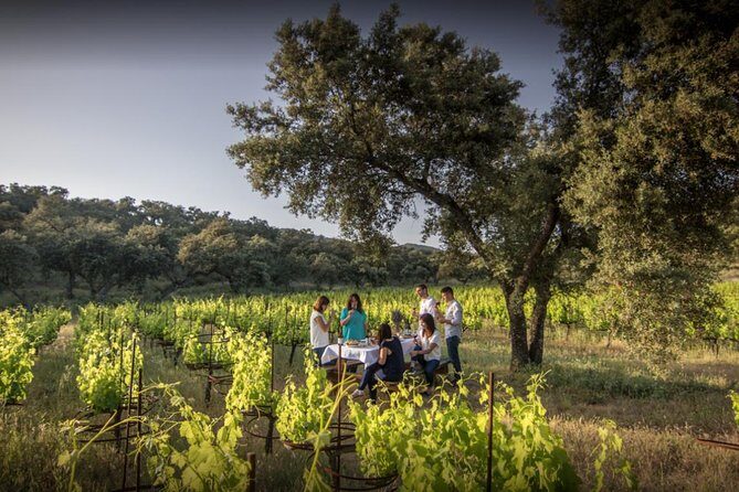 Ronda Private Full Day Wine Tour - Discover the Flavors and Beauty of Andalusia with the Ronda Private Full Day Wine Tour