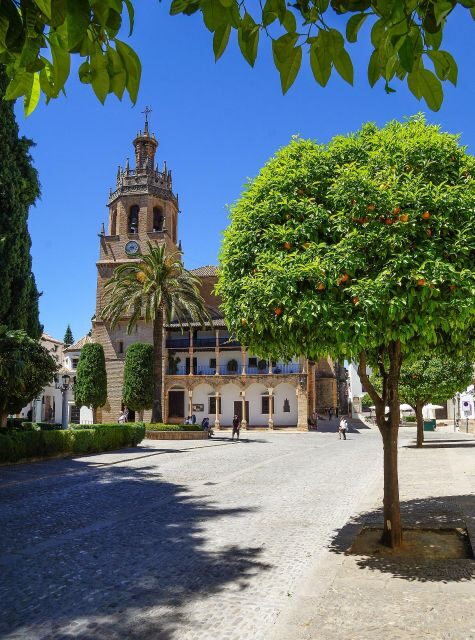 Ronda - Private Historic Walking Tour - Why This Tour Delivers Value