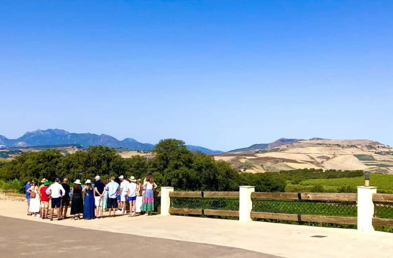 Ronda: Winery Tour with Wine Tasting and Tapas - An In-Depth Look at the Ronda Winery Tour