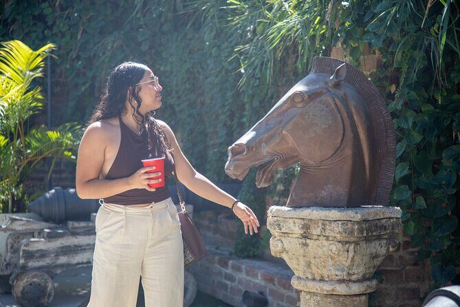 Roots of Baja Magical Town Tour in Todos Santos - Panoramic Views at Mirador Ocean View