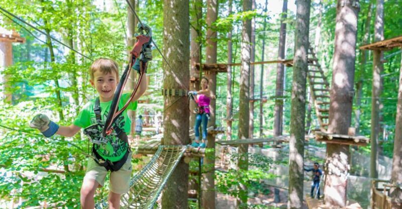 Rope Park Interlaken: Climbing Adventure with Entry Ticket - An Insiders Look at Rope Park Interlaken