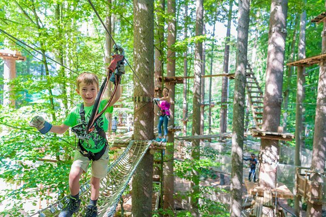 Ropes Park Interlaken - An In-Depth Look at Ropes Park Interlaken