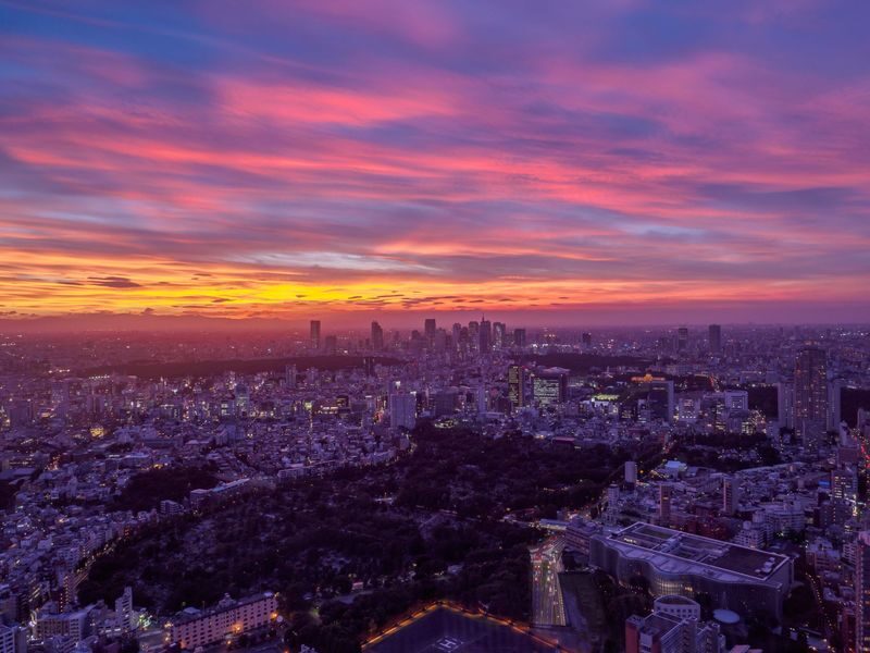 Roppongi Hills Tokyo City View Observatory Deck Ticket - Daylight, sunset, or Tokyo after dark?