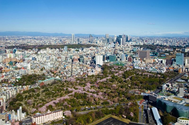 Roppongi Hills Tokyo City View Observatory Deck Ticket - How it compares with other Tokyo viewpoints