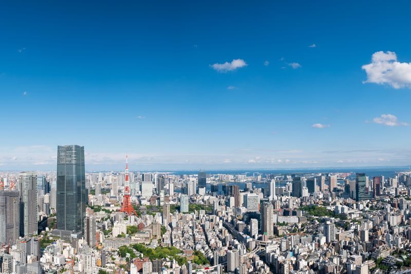 Roppongi Hills Tokyo City View Observatory Deck Ticket - Who should book Tokyo City View?