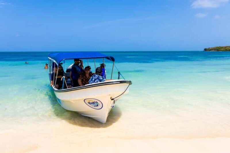 Rosario Islands -Barú : Agua Azul Beach, with lunch - Who Is This Tour Best For?